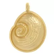 Pendentif coquillage 23x17 mm - Doré à l'or fin x1