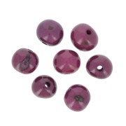 Graines açaï du Brésil 8 mm - Aubergine x 10