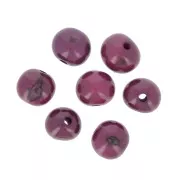 Graines açaï du Brésil 8 mm - Aubergine x 10