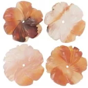 Pendentif fleur 20 mm en pierre gemme - Agate rouge x1