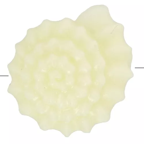 Perles coquillage 12 mm en plastique - Ecru x8