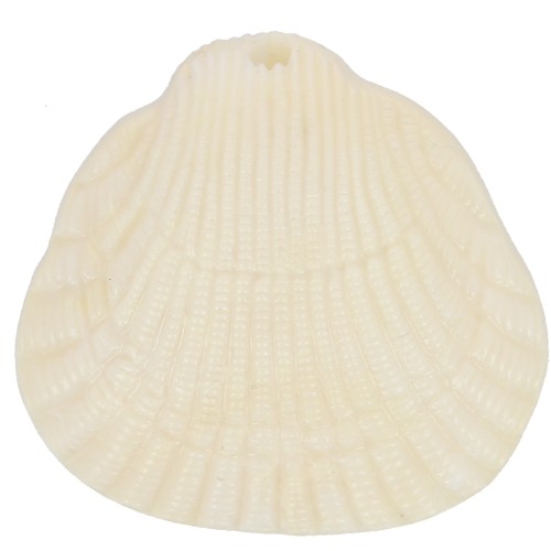 Pendentif coquillage en résine 34x36 mm - Crème marbré x1