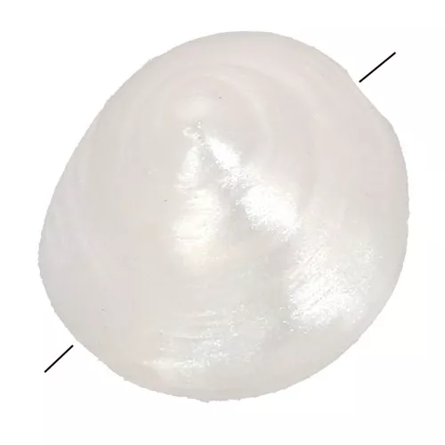 Perle coquillage en résine 9 mm - Blanc nacré x6