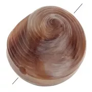 Perle coquillage en résine 12 mm - Marbré Marron clair - Marron foncé x5