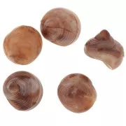 Perle coquillage en résine 12 mm - Marbré Marron clair - Marron foncé x5