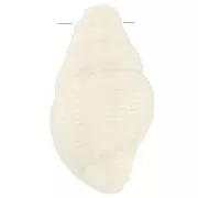 Pendentif coquillage 20.5x13 mm en résine opaque - Ecru x1
