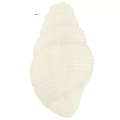 Pendentif coquillage 20.5x13 mm en résine opaque - Ecru x1