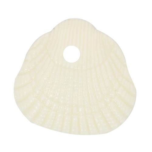 Sequins coquillages 10x10.5 mm en résine opaque - Ecru x6