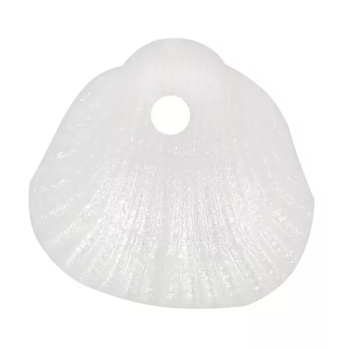 Sequins coquillages 10x10.5 mm en résine opaque - Blanc nacré x6