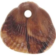 Sequins coquillages 17x18 mm résine opaque - Marbré Marron clair - Marron foncé x4