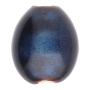 Perles olive 21x18 mm en céramique - Marron foncé - Marbré bleu nuit x4|raw }}