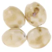 Perles olive 21x18 mm en céramique - Beige - Marbré marrron x4