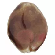 Perle torsadée 28x21.5 mm en céramique - Marron - Marbré rouge x1