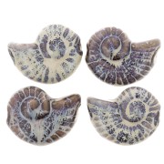 Perle coquillage 40x31 mm en céramique - Marron foncé - Marbré bleu et beige x1