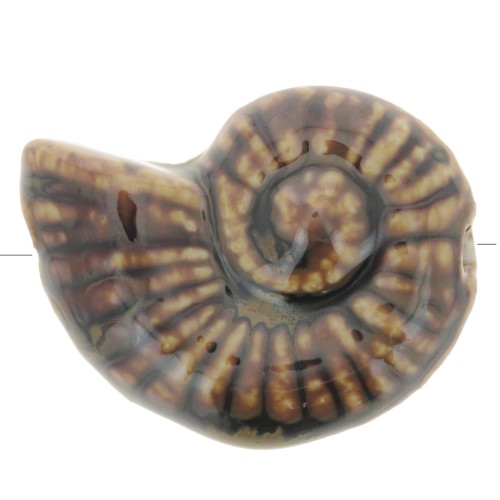 Perle coquillage 40x31 mm en céramique - Marron x1