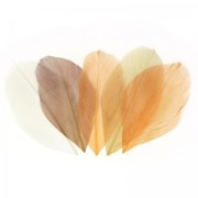 Assortiment de plumes 6 cm Camaïeu Beige x10gr|raw }}