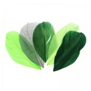 Assortiment de plumes 6 cm Camaïeu Vert x10gr