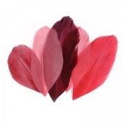 Assortiment de plumes 6 cm Camaïeu Rouge x10gr|raw }}