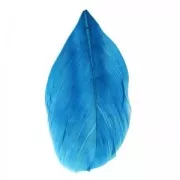 Plumes 6 cm Bleu Pétrole x3gr