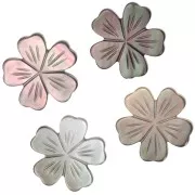 Perle fleur de cerisier 12 mm en nacre - Gris irisé x1