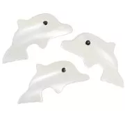 Perle dauphin 8x16.5 mm en nacre - Naturel x1