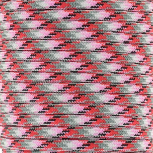 Paracorde 4mm Corde Parachute 7 Brins 10M Multicolore pour Camping Tente Bâche Jardinage Bracelet - Couleur Arc en Ciel Paracorde 4mm Corde Parachute 7 Brins 10M Multicolore pour Camping Tente Bâche Jardinage Bracelet - Couleur Arc en Ciel