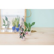 Kit de modelage Cernit - Mini plantes x1