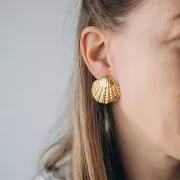 Clips d'oreilles coquillage 30x32 mm - Acier inoxydable 304L Doré x2