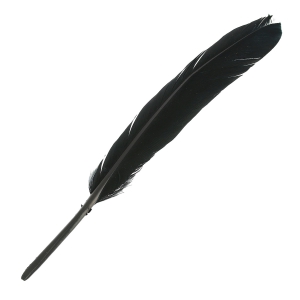 20cm-25cm Coloré Plumes Teints Pour Chapellerie