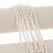 Perles d'eau douce grain de riz 5x4.5 mm - Grade AA - Blanc x10
