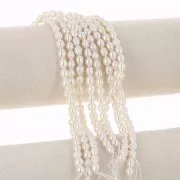 Perles d'eau douce grain de riz 6x5 mm - Grade AA - Blanc  x10