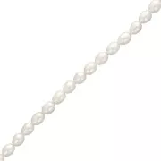 Perles d'eau douce grain de riz 9x7 mm - Grade AA - Blanc x 36cm