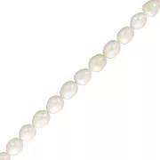 Perles d'eau douce grain de riz 13x11 mm - Grade A - Blanc x 38cm