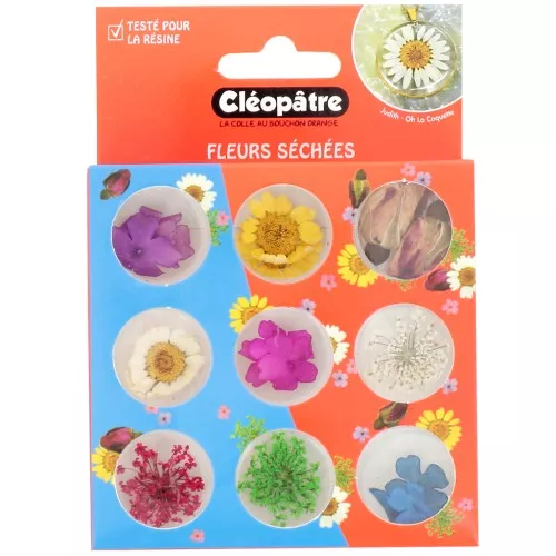 Assortiment de 21 fleurs séchées et pressées Cléopâtre - Multicolore