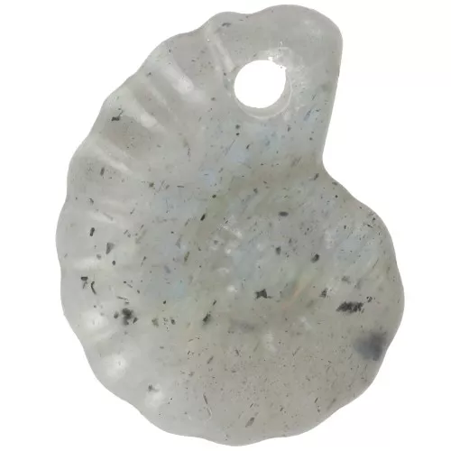 Pendentif coquillage spirale 20x16 mm en pierre gemme - Labradorite x1