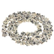Perles fleur 6 mm en pierre gemme - Jaspe Dalmatien x38cm|raw }}