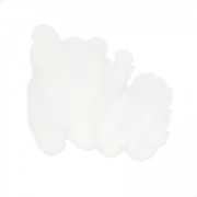Assortiment de plumes de coq 7 cm Blanc x20