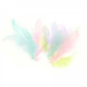 Assortiment de plumes de coq 7 cm Pastel x20|raw }}