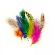 Assortiment de plumes de pintade 5 cm Multicolore x10g|raw }}