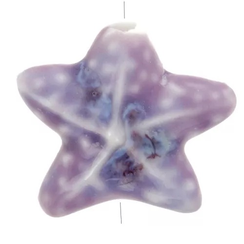 Perle étoile de mer 19x21 mm en céramique - Marbré Violet x1