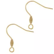 Crochets d'oreilles 21 mm avec anneau ouvert - Acier inoxydable 304L Doré x20