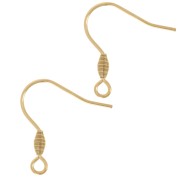Crochets d'oreilles 21 mm avec anneau ouvert - Acier inoxydable 304L Doré x2|raw }}