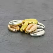 Intercalaire coquillage Cauri 19 mm - Placage Argent fin vieilli x1