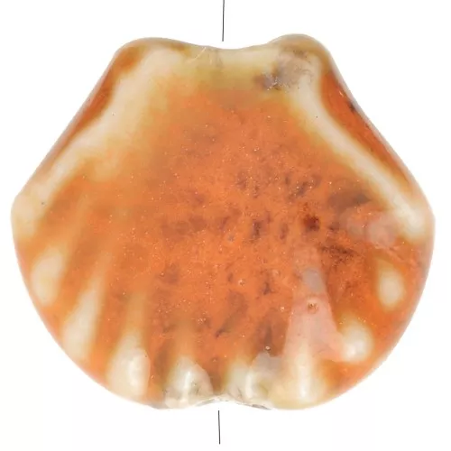 Perles coquillage 14 mm en céramique - Orange - Tacheté noir x4