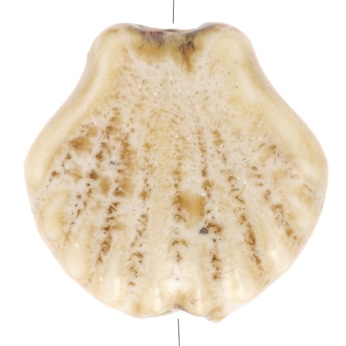 Perles coquillage 14 mm en céramique - Beige - Tacheté marron x4