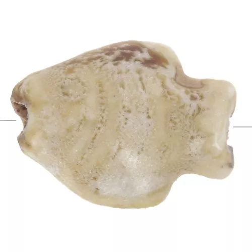 Perle poisson 14x19 mm en céramique - Marbré Sable x1