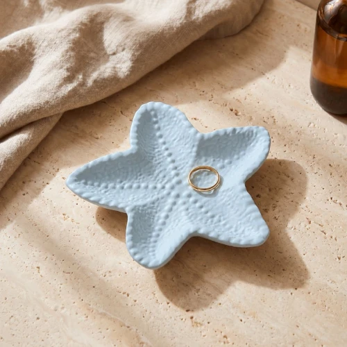 Moule silicone pour réaliser une coupelle forme étoile de mer 13.5 cm -Transparent