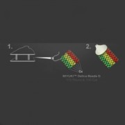 Fermoir mousqueton  9 mm pour Miyuki 11/0 6 rangs en Argent 925 x1
