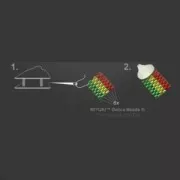 Fermoir mousqueton  9 mm pour Miyuki 11/0 6 rangs en Argent 925 x1