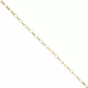 Chaîne maille Rectangle 2.7 mm - Acier inoxydable 304 Doré x50cm